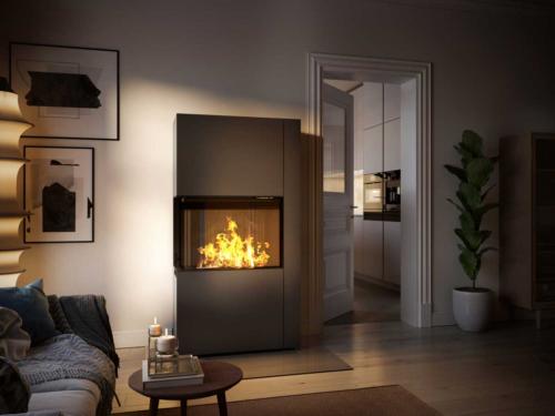Preview: Spartherm stove Zirkon 2L Living Fire